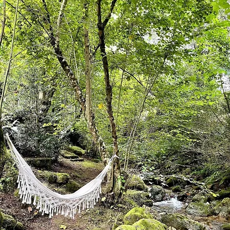 度假居 El Molino De Leyte - Charming Riverside In Carmona, Cantabria