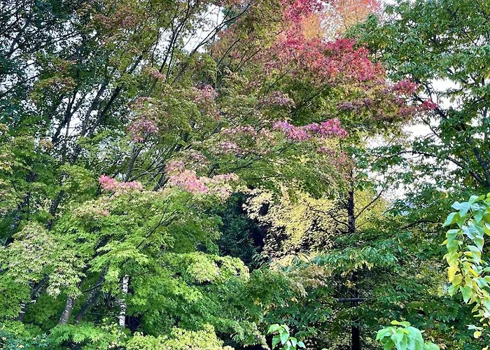 Hébergement de vacances El Molino De Leyte - Charming Riverside In Carmona, Cantabria